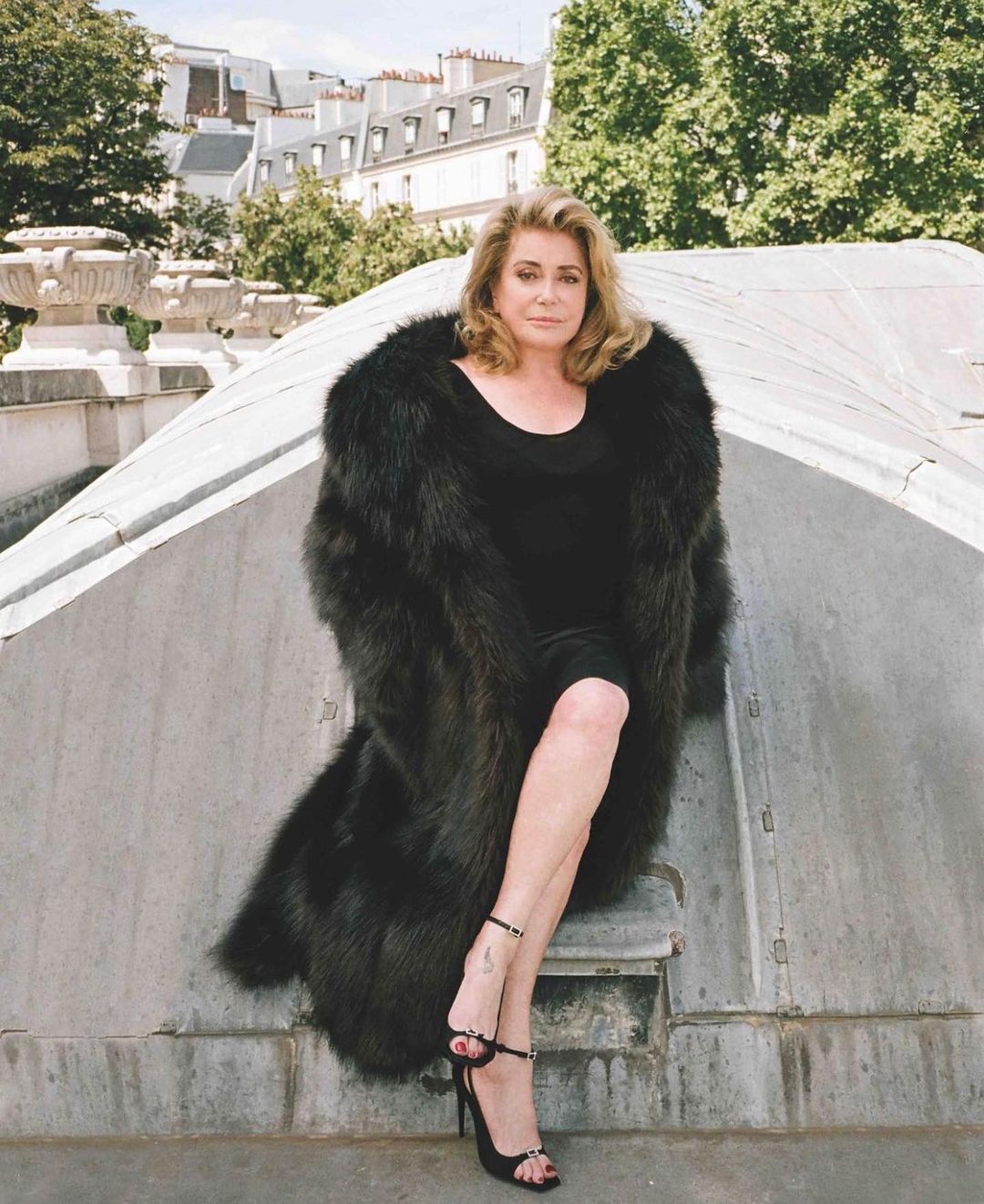 Catherine Deneuve Fortune