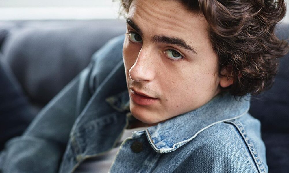 Timothée Chalamet Fortune