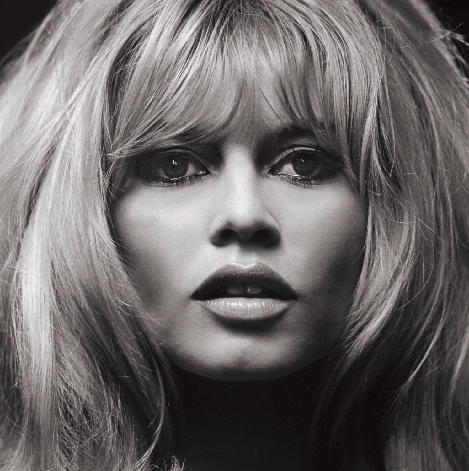 Brigitte Bardot fortune
