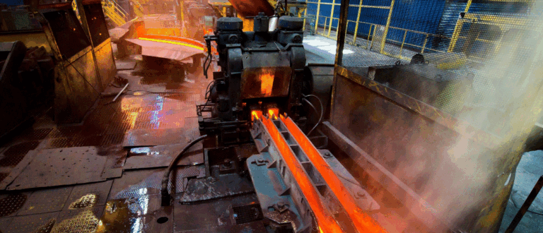 Famille Wibo vlassenroot